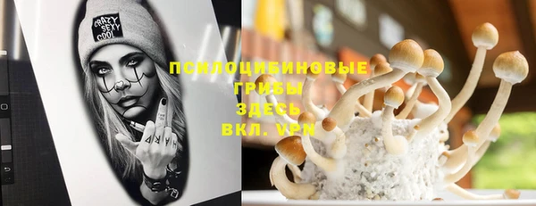 прущая мука Лиски