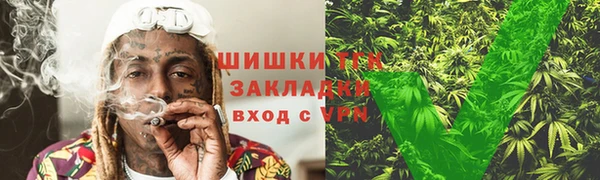 сатива Лихославль