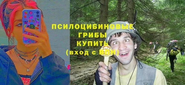 сатива Лихославль